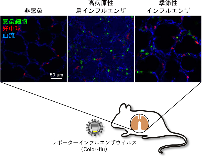 生物物理化学