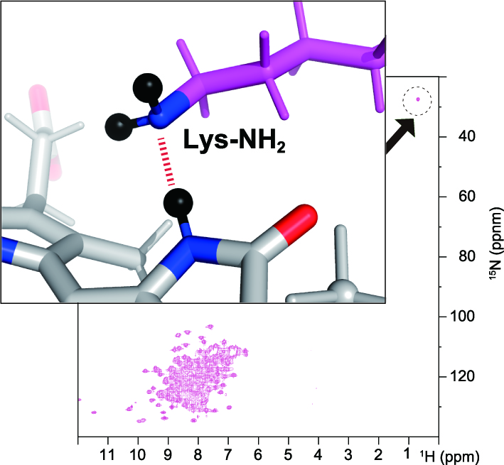 生物物理」誌（学会PDF版） 目次・PDF file閲覧 | 一般社団法人 日本