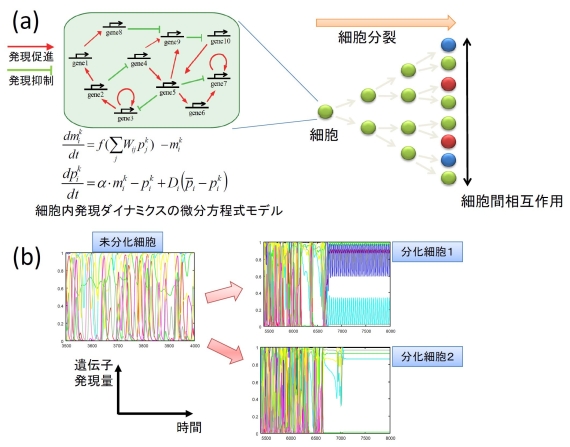 生命体システム情報学｜一般社団法人 日本生物物理学会