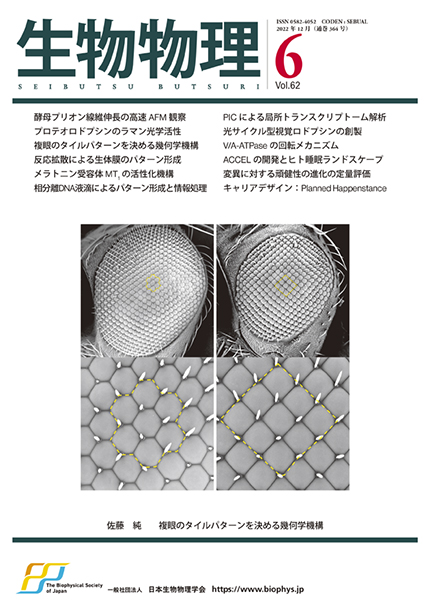 Vol.62 No.6（通巻364号）