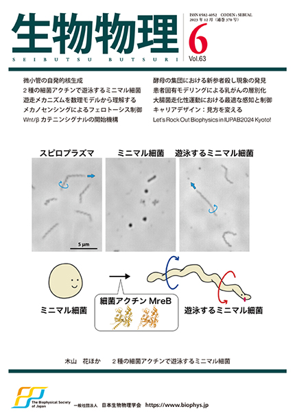 Vol.63 No.6（通巻370号）