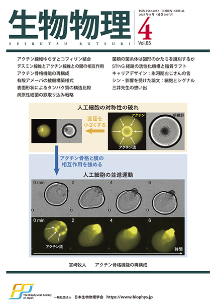Vol.65 No.4（通巻380号）