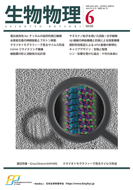 Vol.65 No.6（通巻382号）