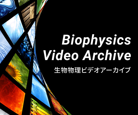 Biophysics Video Archive